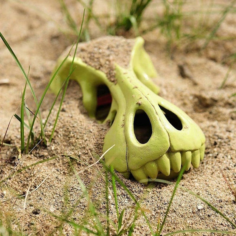 HABA Dinosaur Sand Glove - Ultimate Dinosaur Beach Toys for Kids 3-5  Award-Winning Sandbox Toys & Toddler Summer Toys - Dinosaur Toys Play Artifact for Digging and Excavation - Sand Toys - Image 5